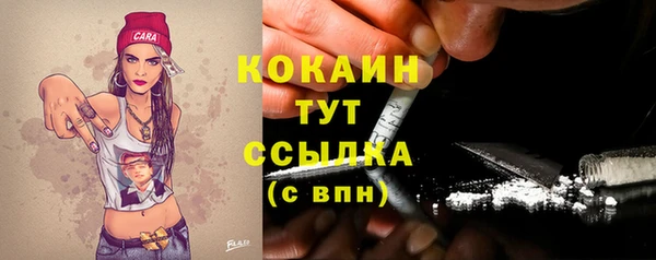 дурь Пестово