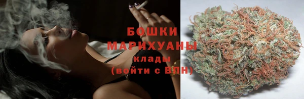 дурь Пестово