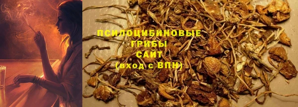 дурь Пестово