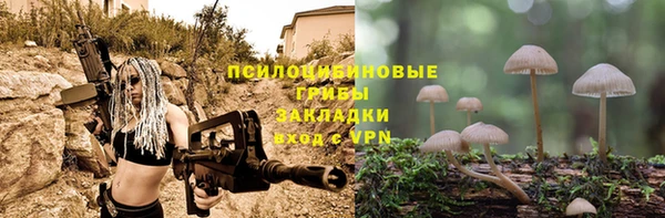 дурь Пестово