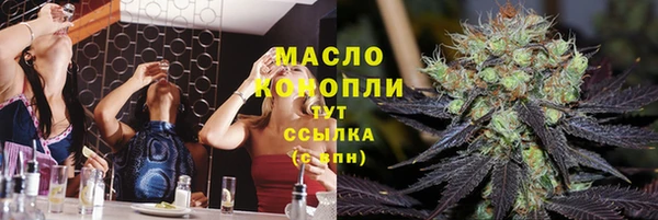 меф Ельня