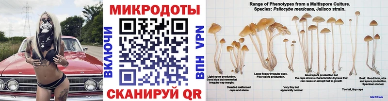 Псилоцибиновые грибы мицелий Светлый